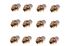 Wheel Nuts Set Of 12 - NAM9077K